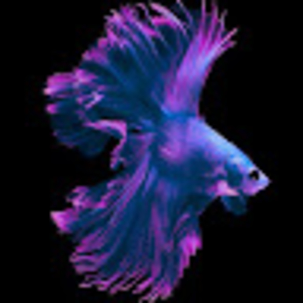 Meet your Posher, Sanela